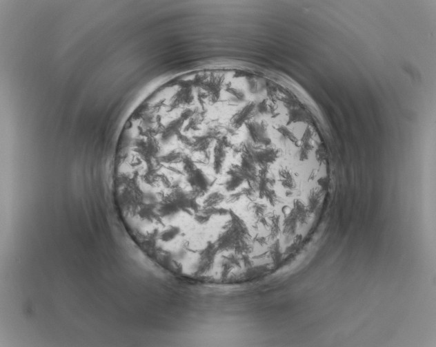 X0000114190860200911061401