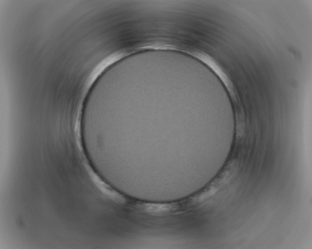 X0000114190861200911061401