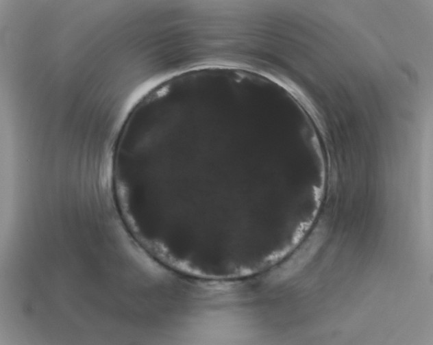 X0000114190862200911061401