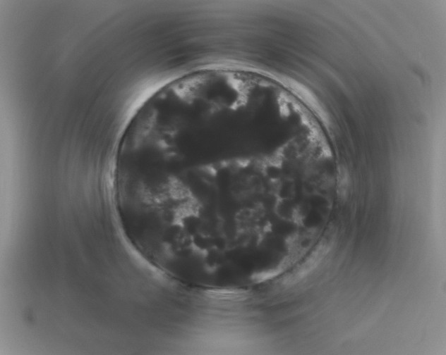 X0000114190863200911061401