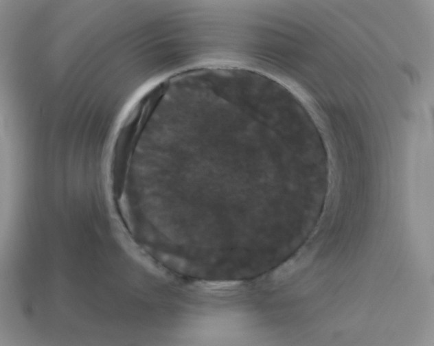 X0000114190864200911061401