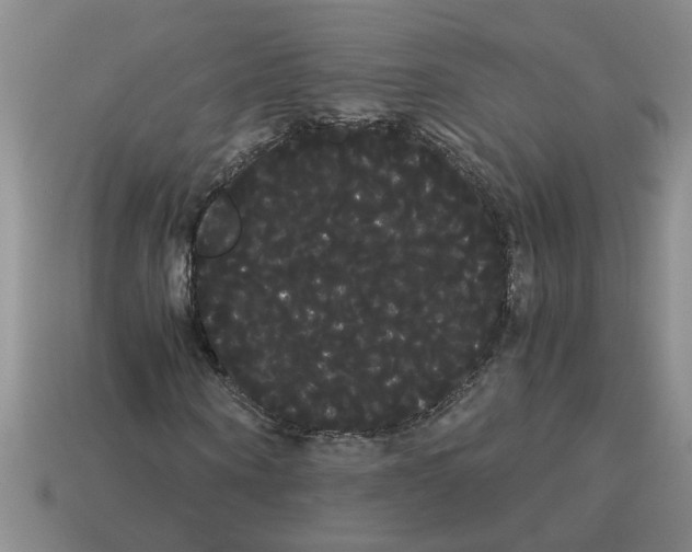 X0000114190866200911061401