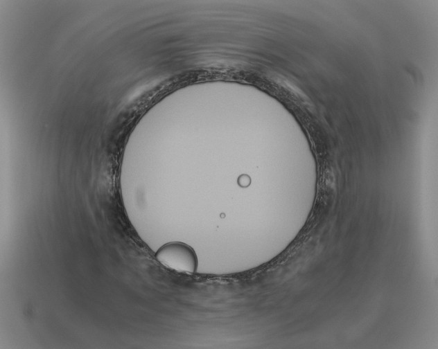 X0000114190869200911061401