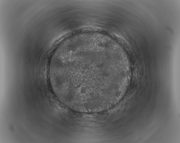 X0000114190870200911061401