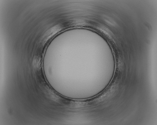 X0000114190873200911061401