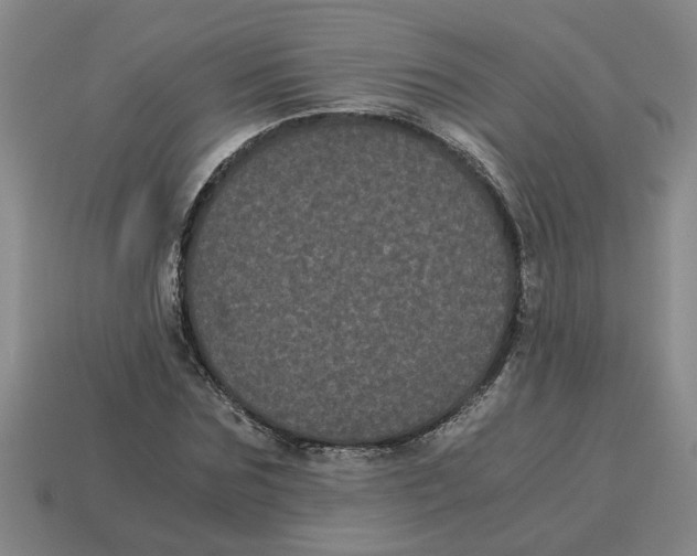 X0000114190875200911061401