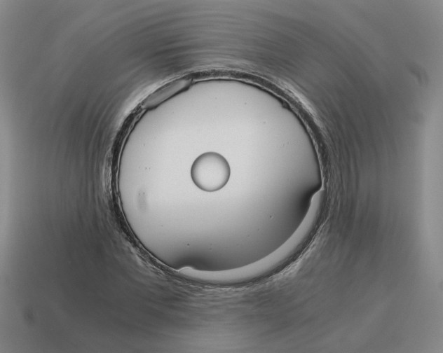 X0000114190877200911061401