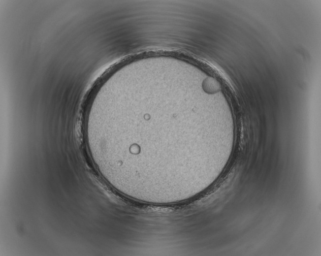 X0000114190878200911061401