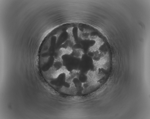 X0000114190879200911061401