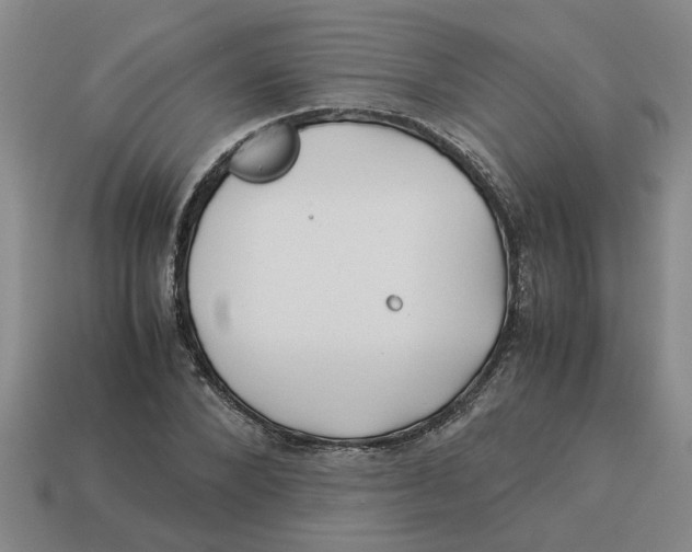 X0000114190880200911061401