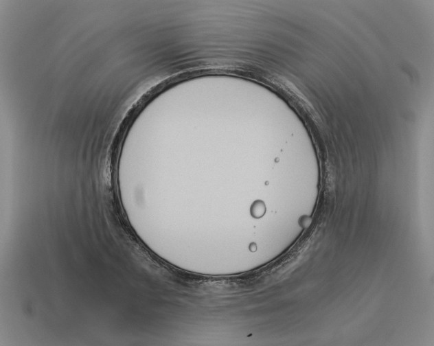 X0000114190883200911061401