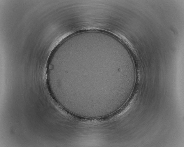 X0000114190885200911061401