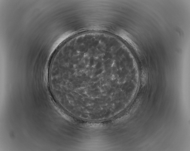 X0000114190886200911061401