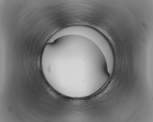 X0000114190889200911061400