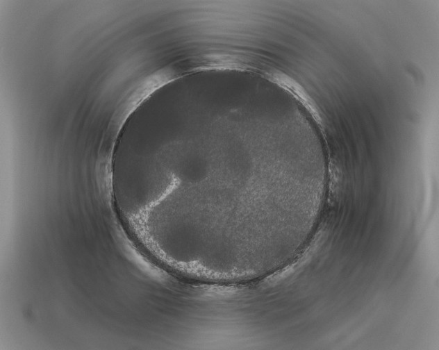 X0000114190890200911061400