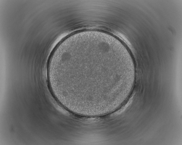 X0000114190891200911061400