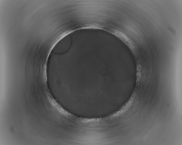 X0000114190892200911061400