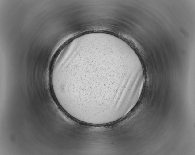 X0000114190894200911061400