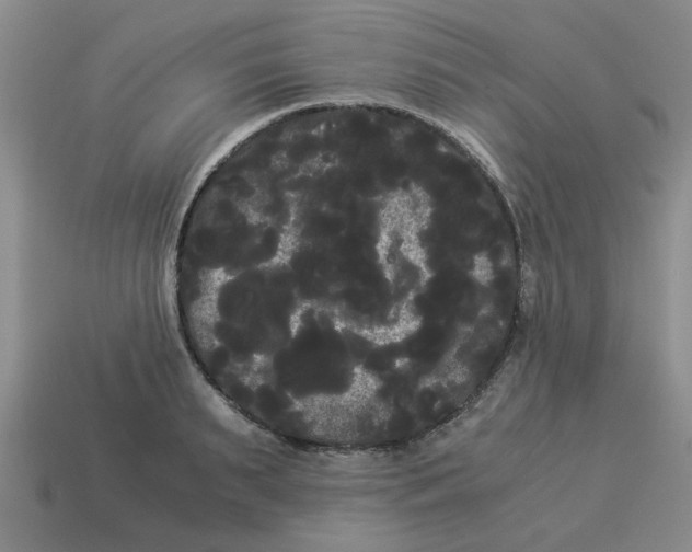 X0000114190895200911061400