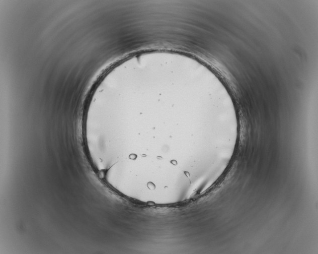 X0000114190896200911061400