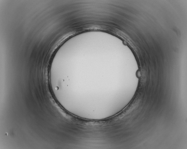 X0000114190898200911061400