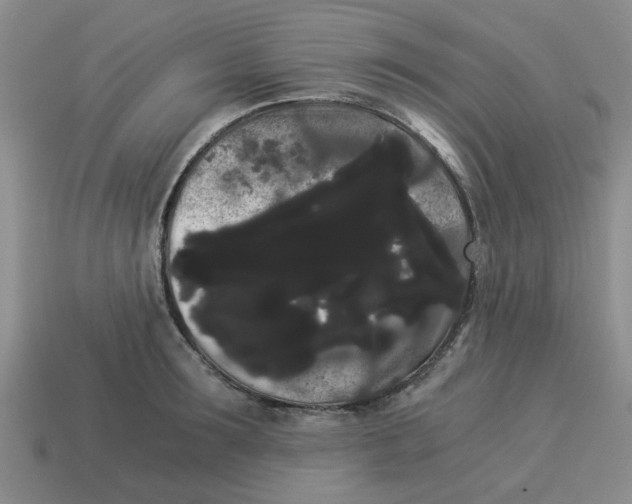 X0000114190899200911061400