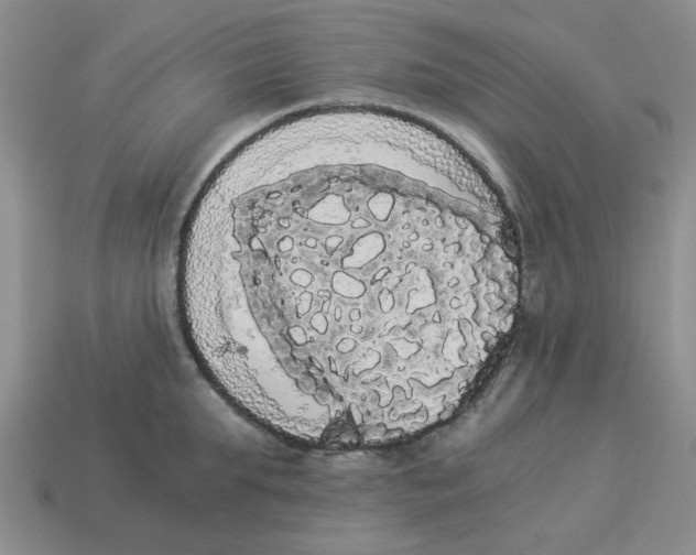 X0000114190903200911061400