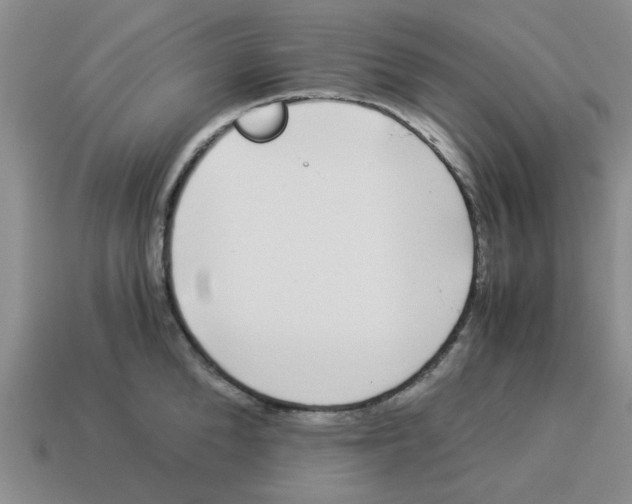 X0000114190904200911061400