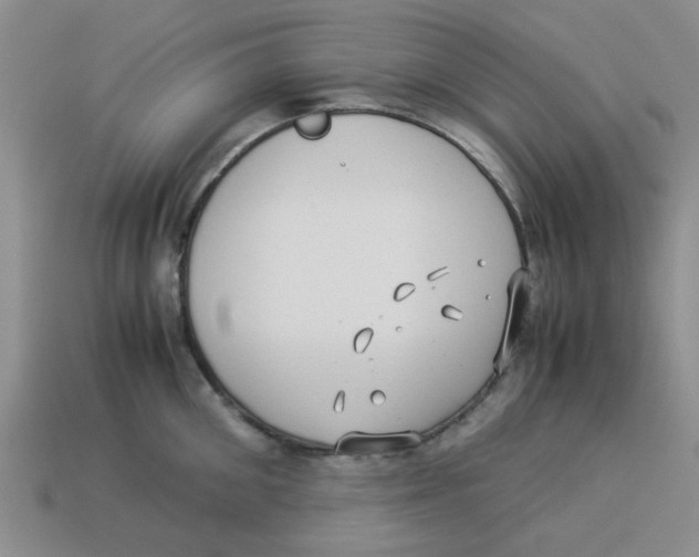 X0000114190906200911061400