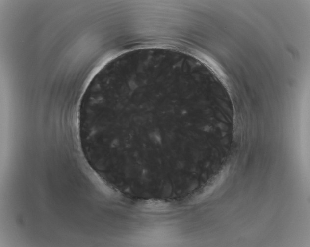 X0000114190907200911061400