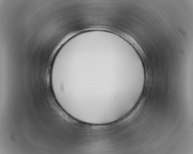 X0000114190908200911061400