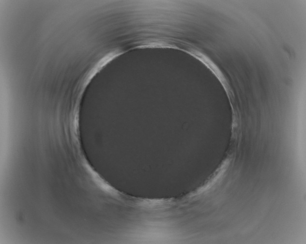 X0000114190909200911061400