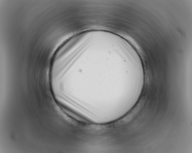 X0000114190910200911061400