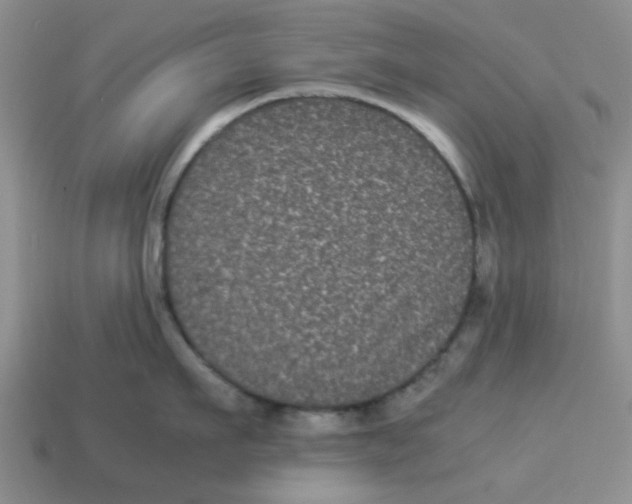 X0000114190911200911061400