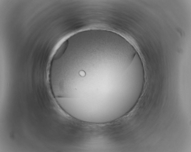 X0000114190912200911061400