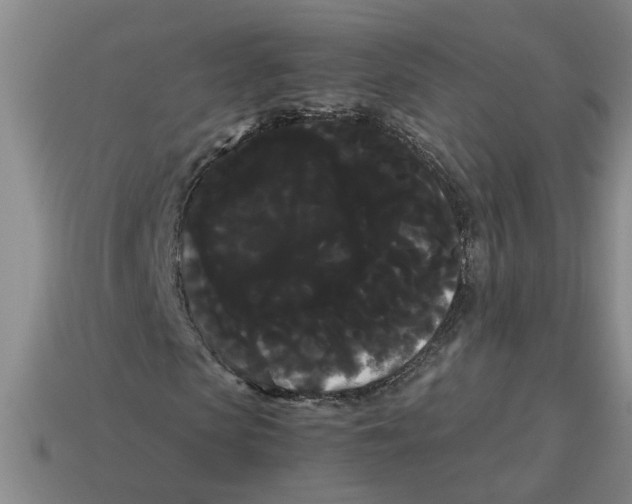 X0000114190913200911061359