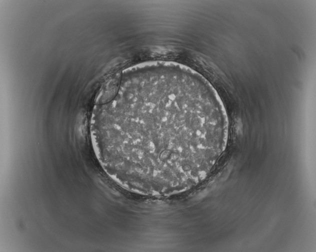 X0000114190914200911061359