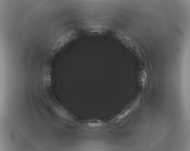 X0000114190916200911061359