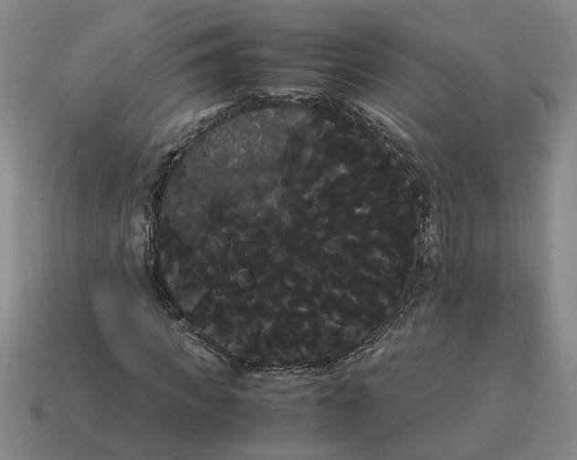 X0000114190917200911061359