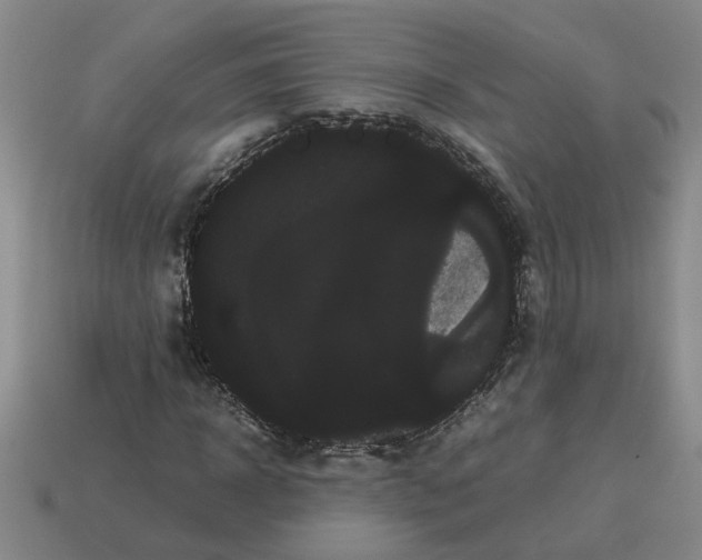 X0000114190918200911061359