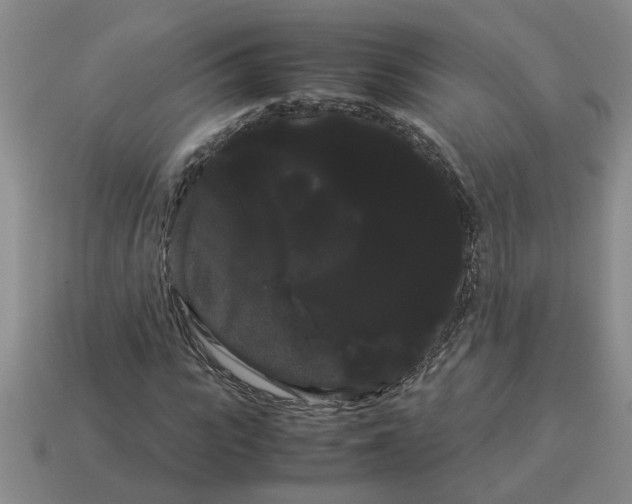 X0000114190919200911061400