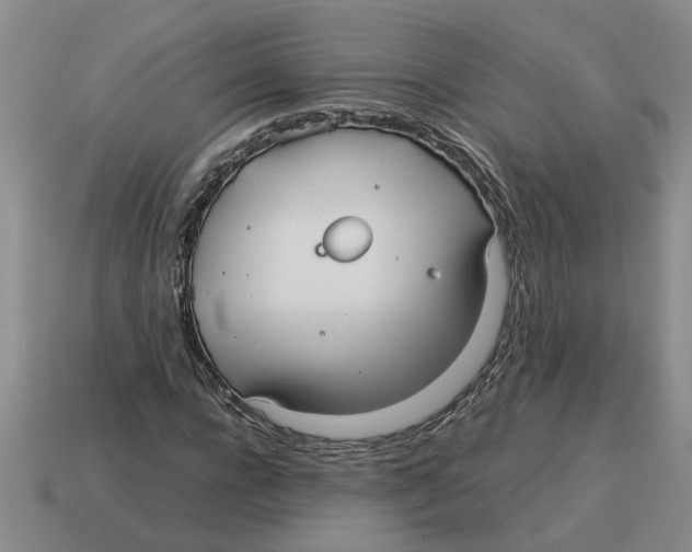 X0000114190920200911061400