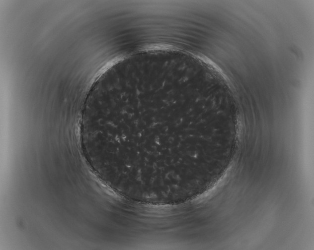 X0000114190921200911061400