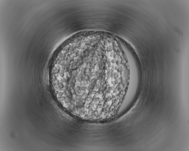 X0000114190925200911061400