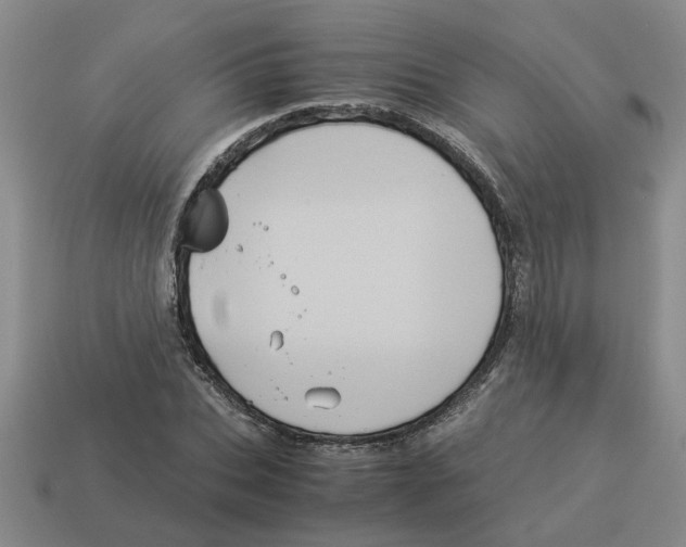 X0000114190927200911061400