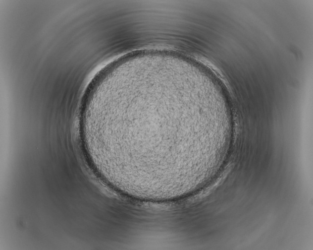 X0000114190928200911061400