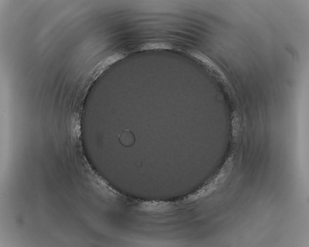 X0000114190929200911061400