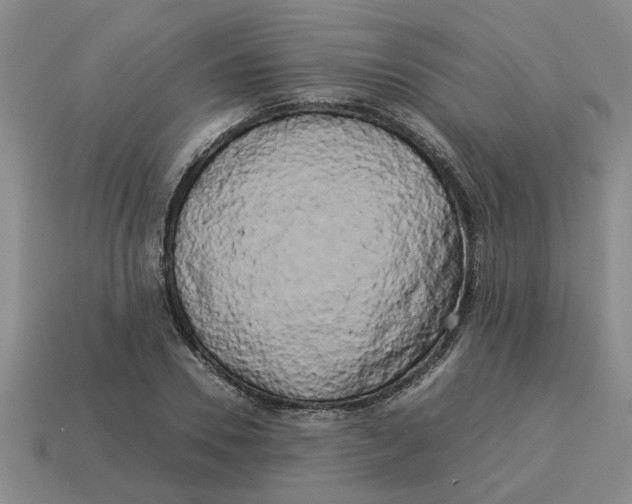 X0000114190930200911061400