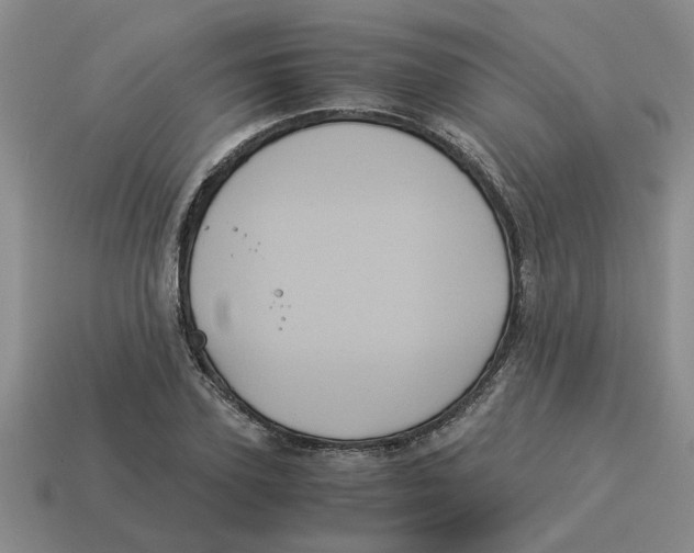 X0000114190931200911061400