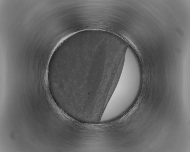 X0000114190932200911061400